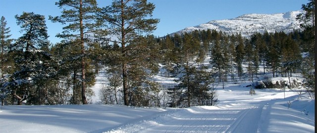 hovden_langrennsarena_mot_hartevassnutane